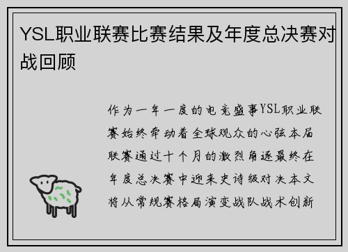 YSL职业联赛比赛结果及年度总决赛对战回顾